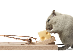The Silent Danger: The Business “Savings” That Could Cost You EVERYTHING